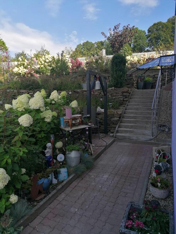 Im Erzgebirge Wandern, Fahrrad fahren oder entspannen Ehrenfriedersdorf Exterior foto