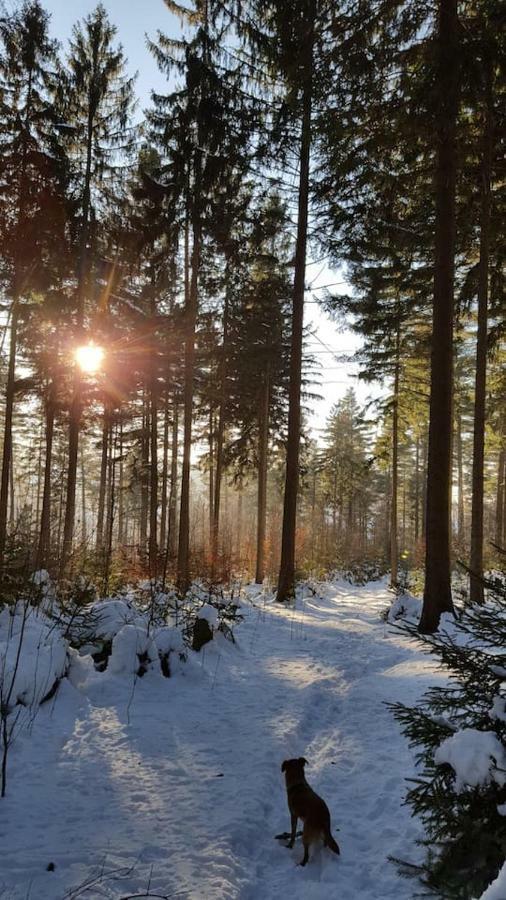 Im Erzgebirge Wandern, Fahrrad fahren oder entspannen Ehrenfriedersdorf Exterior foto