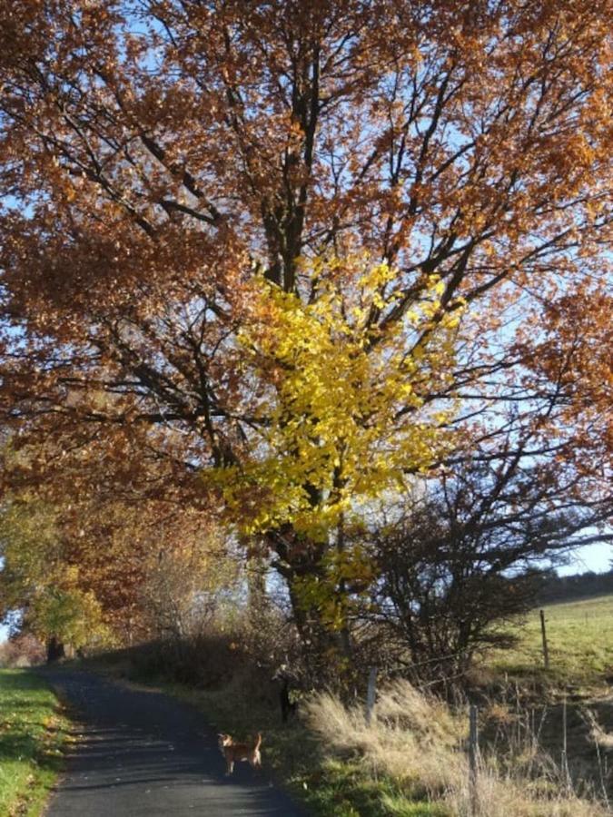 Im Erzgebirge Wandern, Fahrrad fahren oder entspannen Ehrenfriedersdorf Exterior foto